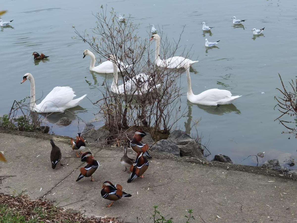 ル・ペルー・シュル・マルヌ Les Pingouins De La Marne Bed & Breakfast エクステリア 写真