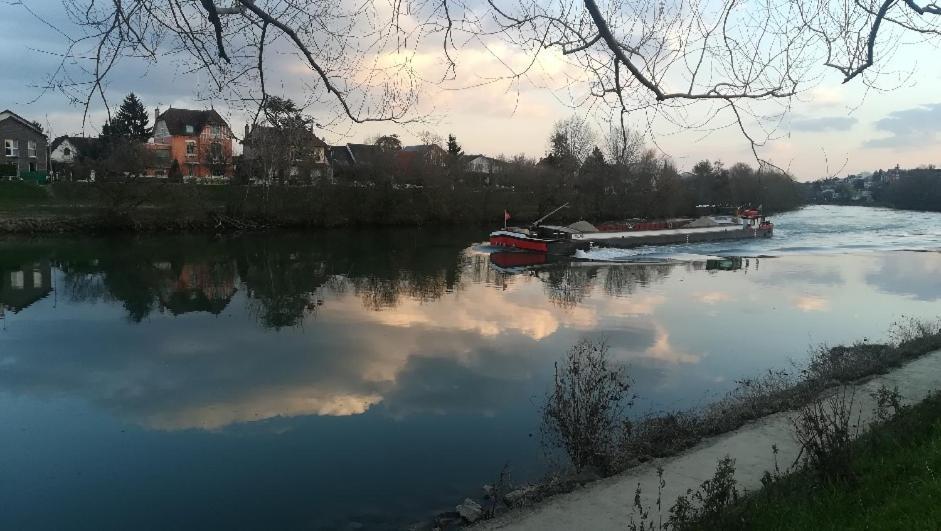 ル・ペルー・シュル・マルヌ Les Pingouins De La Marne Bed & Breakfast エクステリア 写真